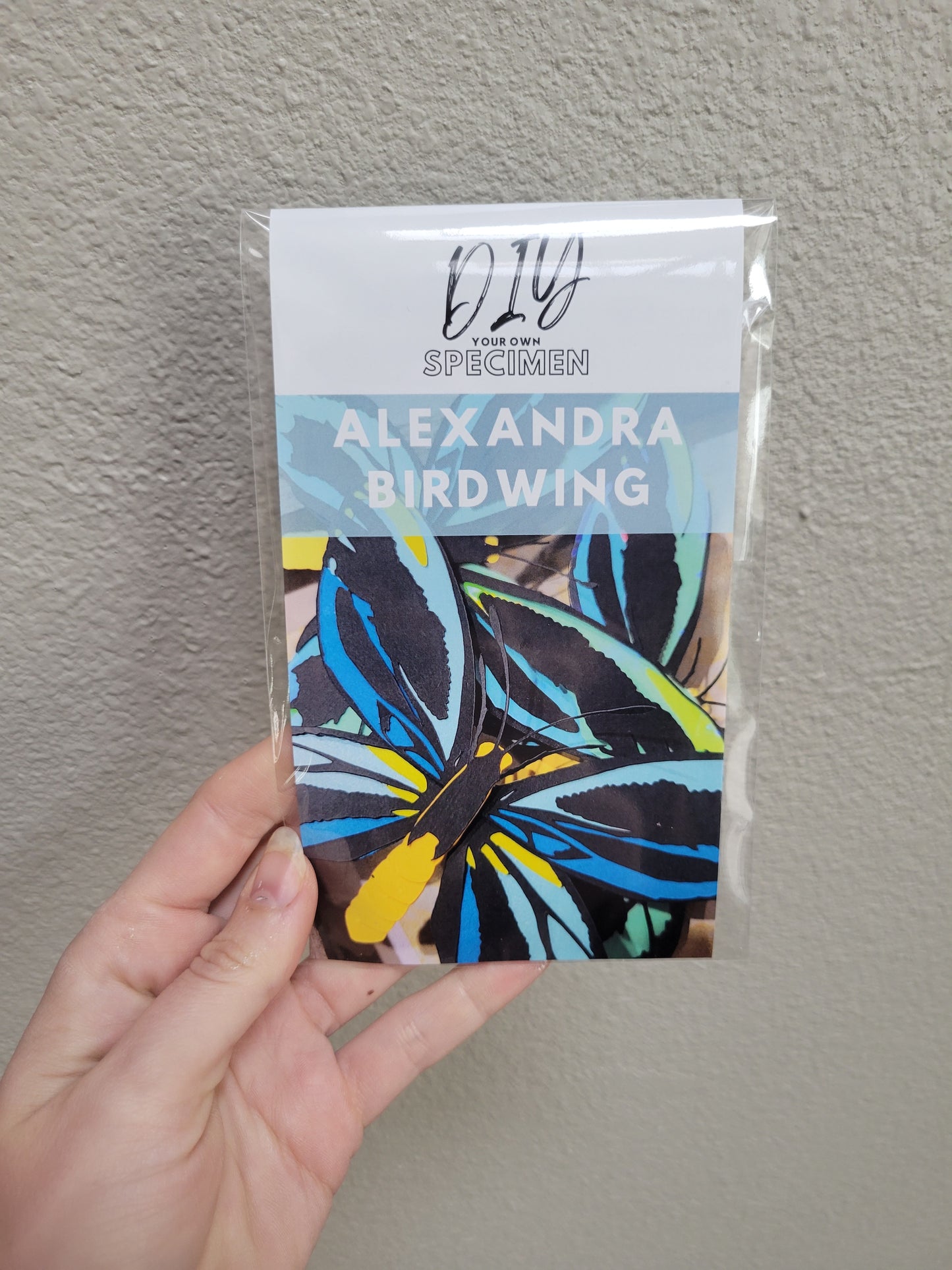 DIY Your Own Paper Specimen