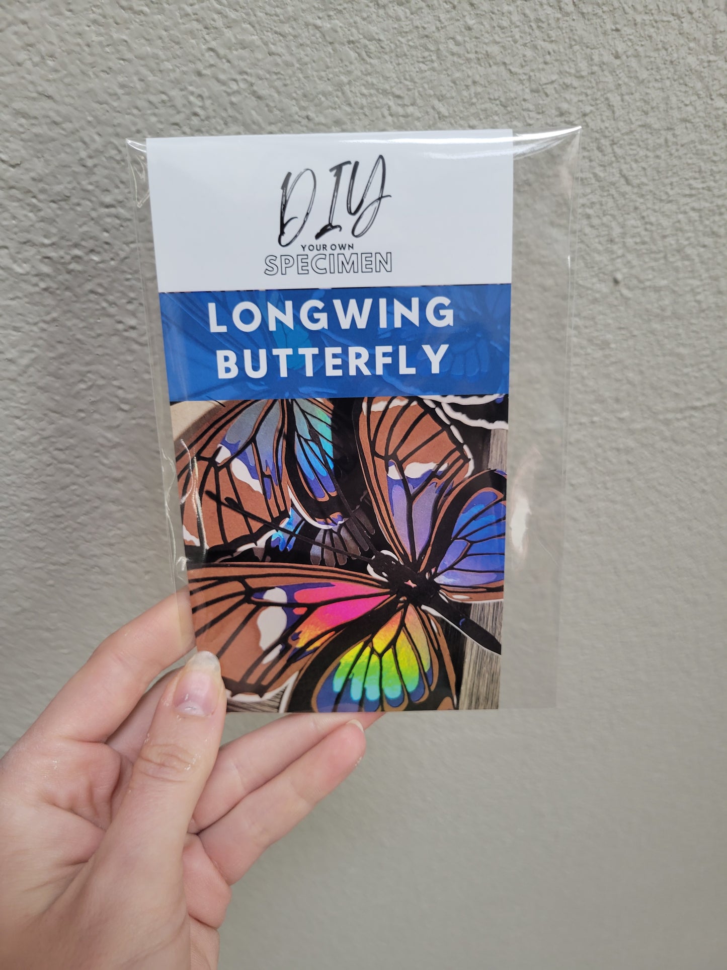 DIY Your Own Paper Specimen