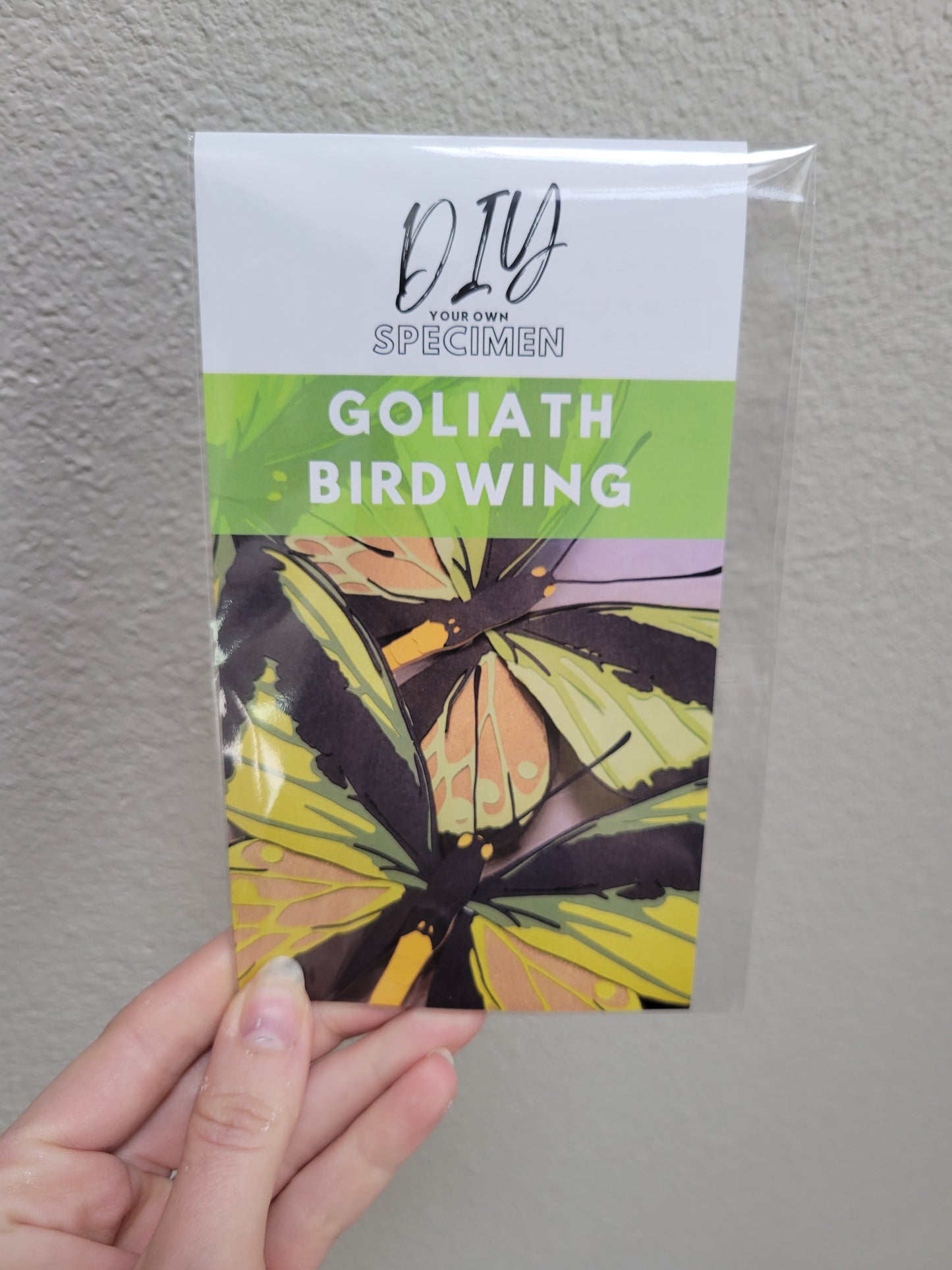 DIY Your Own Paper Specimen
