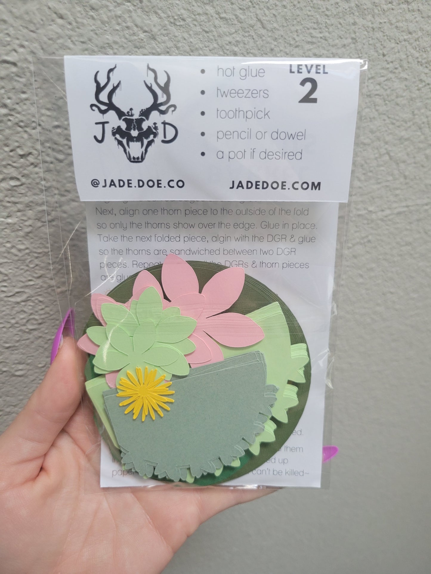 DIY Barrel Cactus Pair 🌵