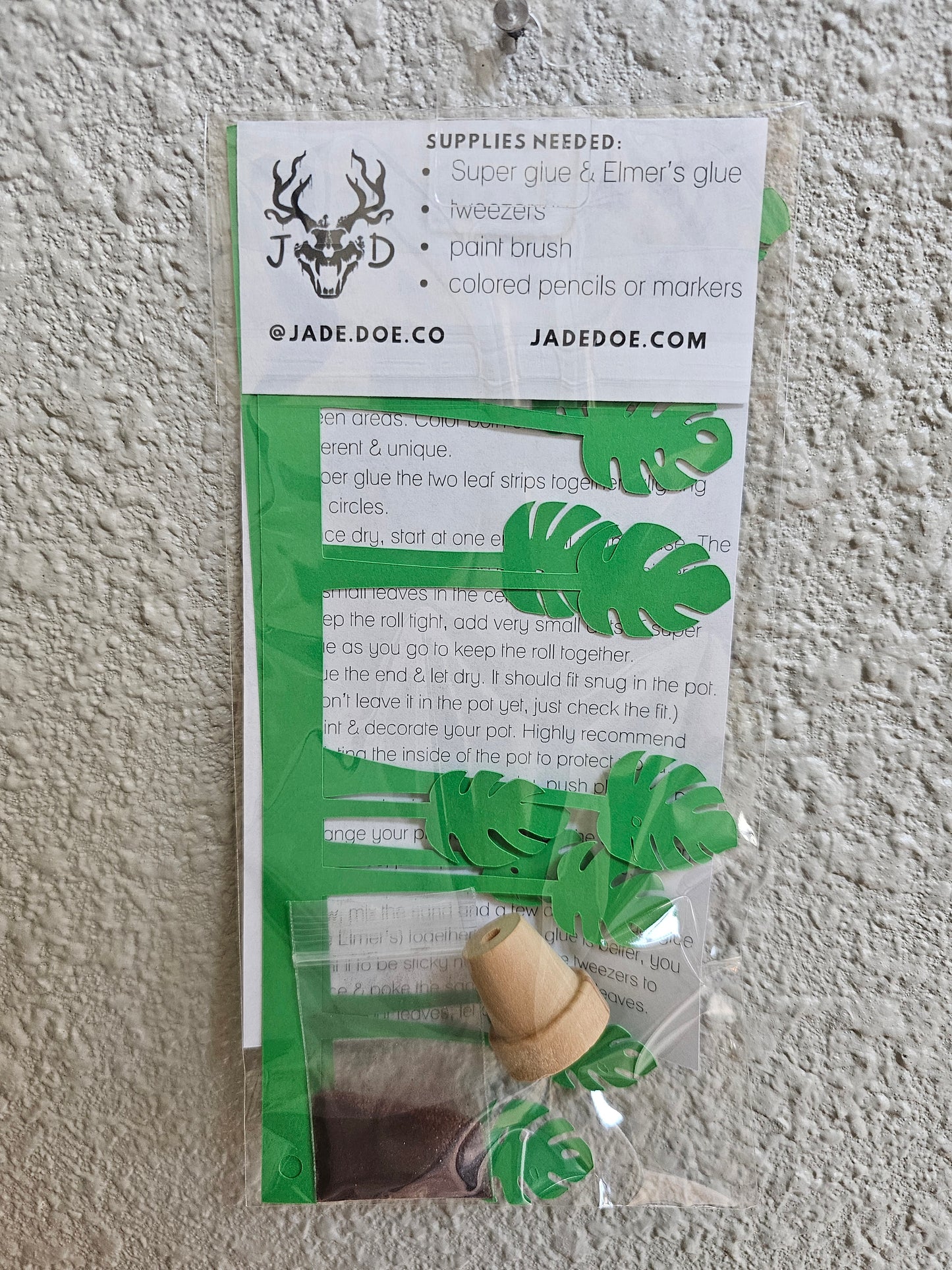 DIY Potted Monstera
