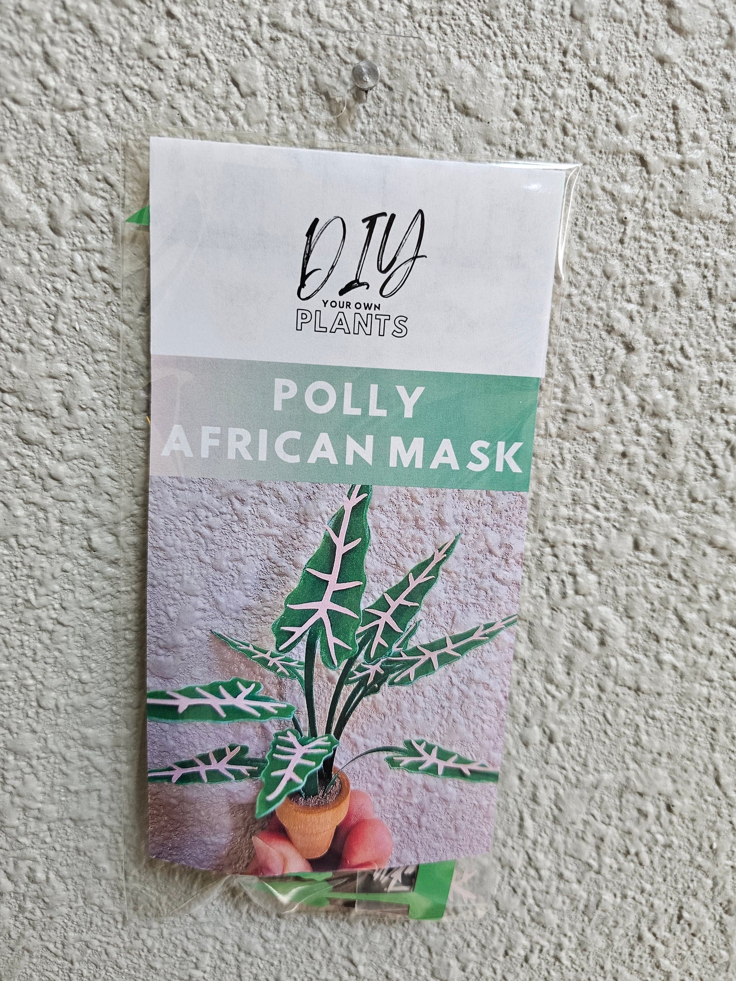 DIY Potted Alocasia