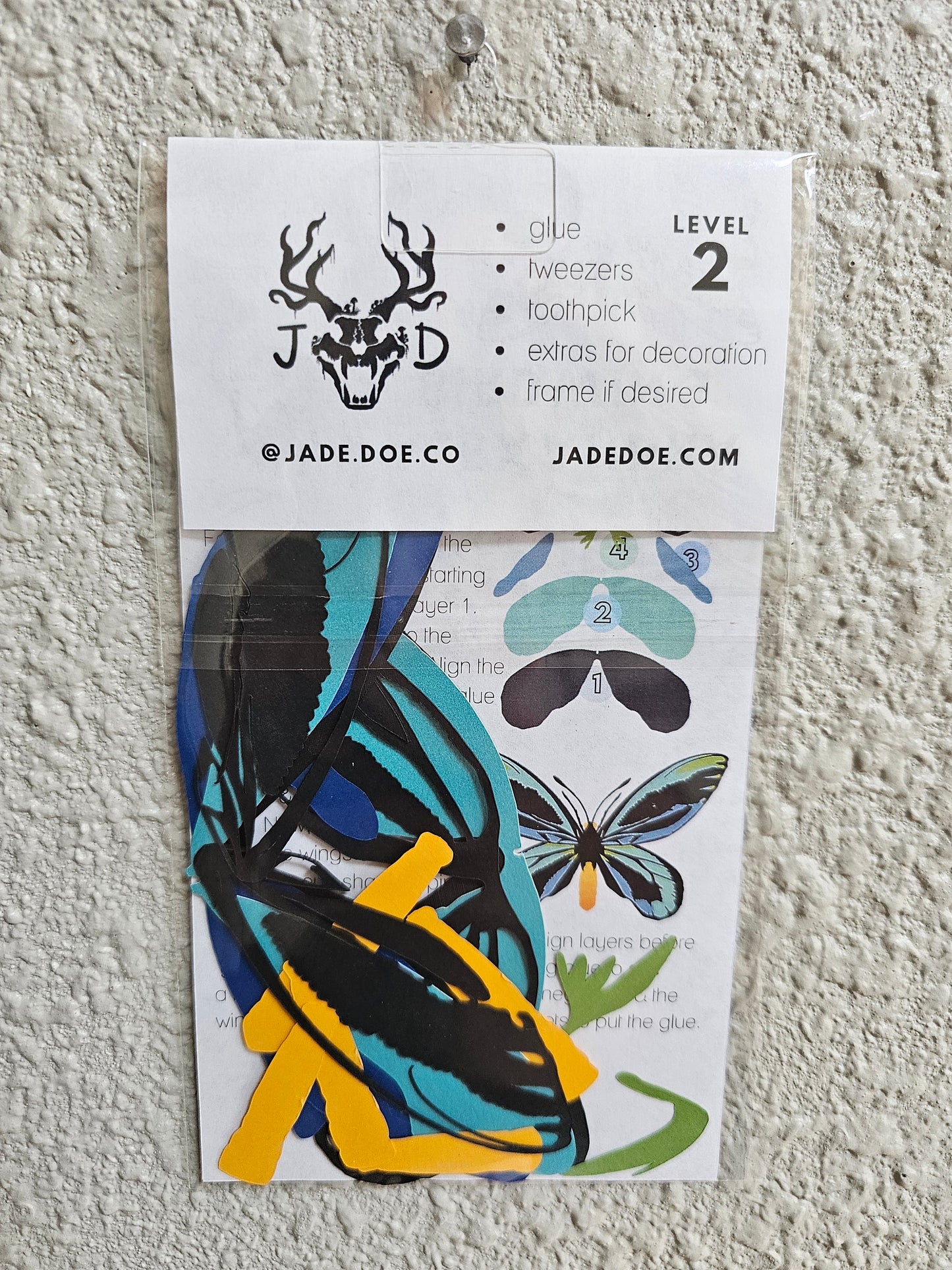 DIY Alexandria Birdwing - DIY Your Own Paper Specimen