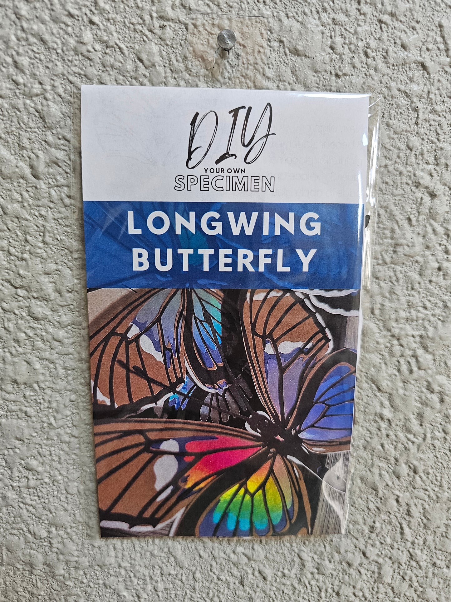 DIY Longwing Butterfly - DIY Your Own Paper Specimen
