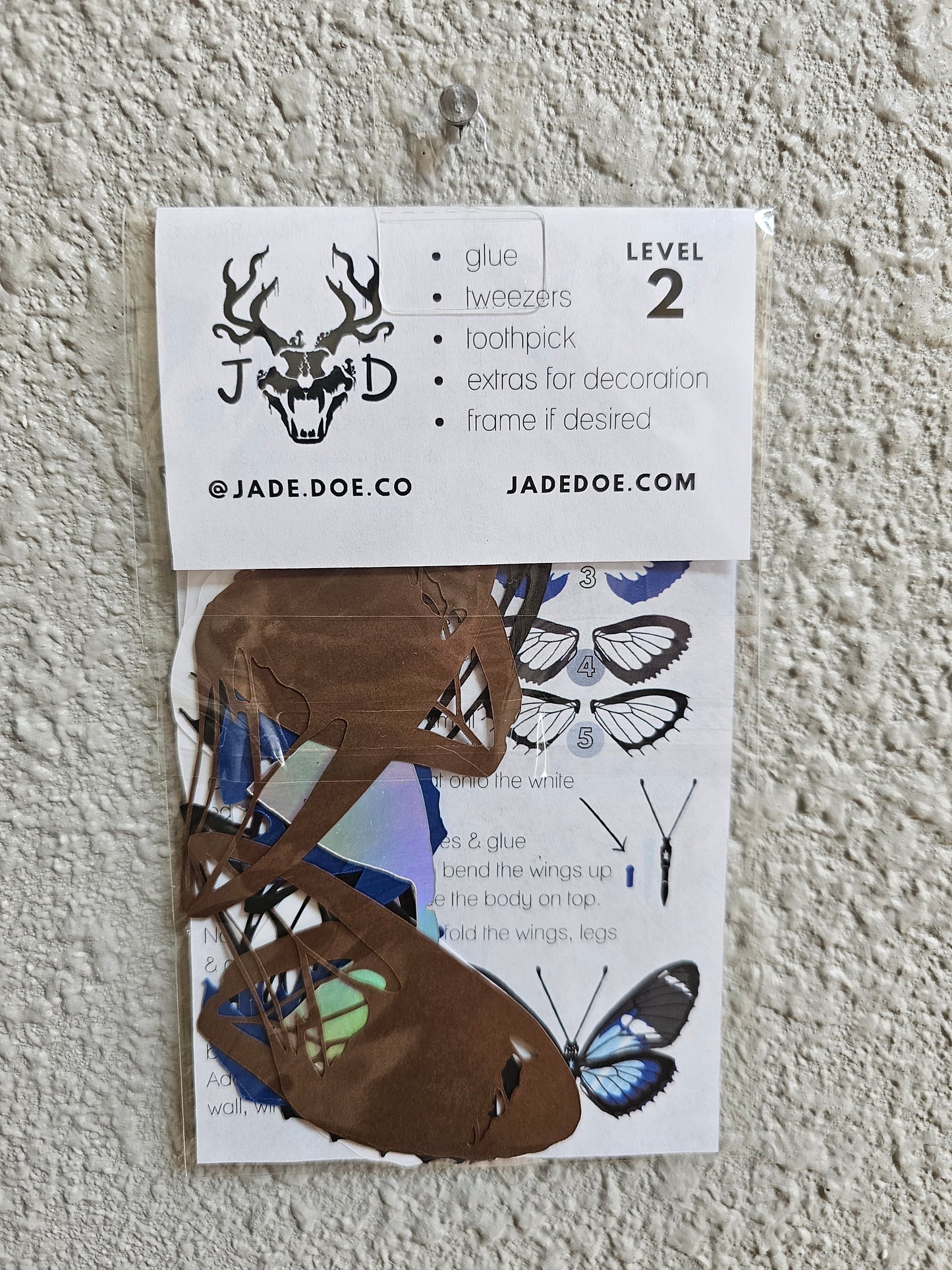 DIY Longwing Butterfly - DIY Your Own Paper Specimen