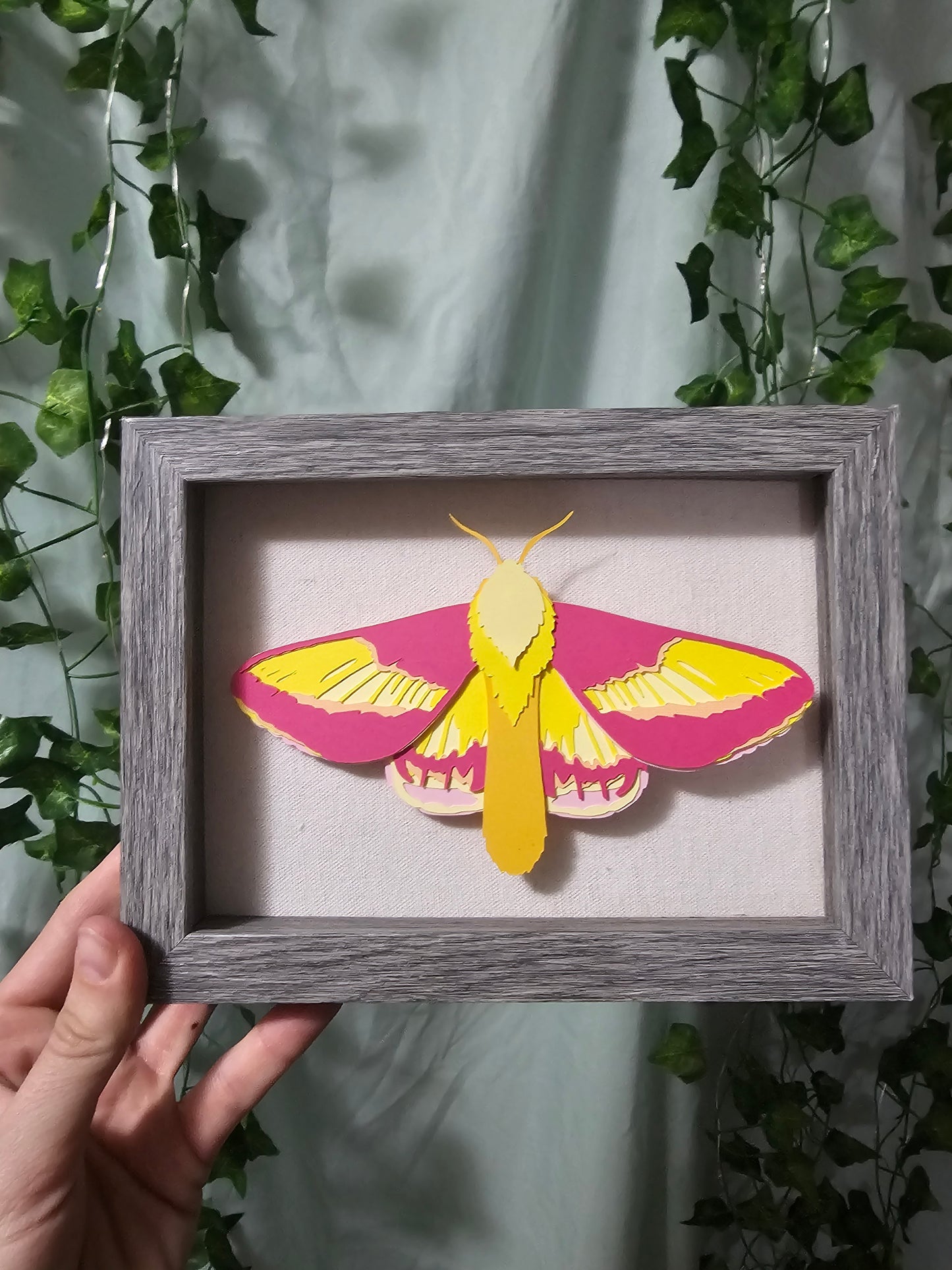 DIY Butterly - Rosy Maple Moth - DIY Your Own Paper Specimen