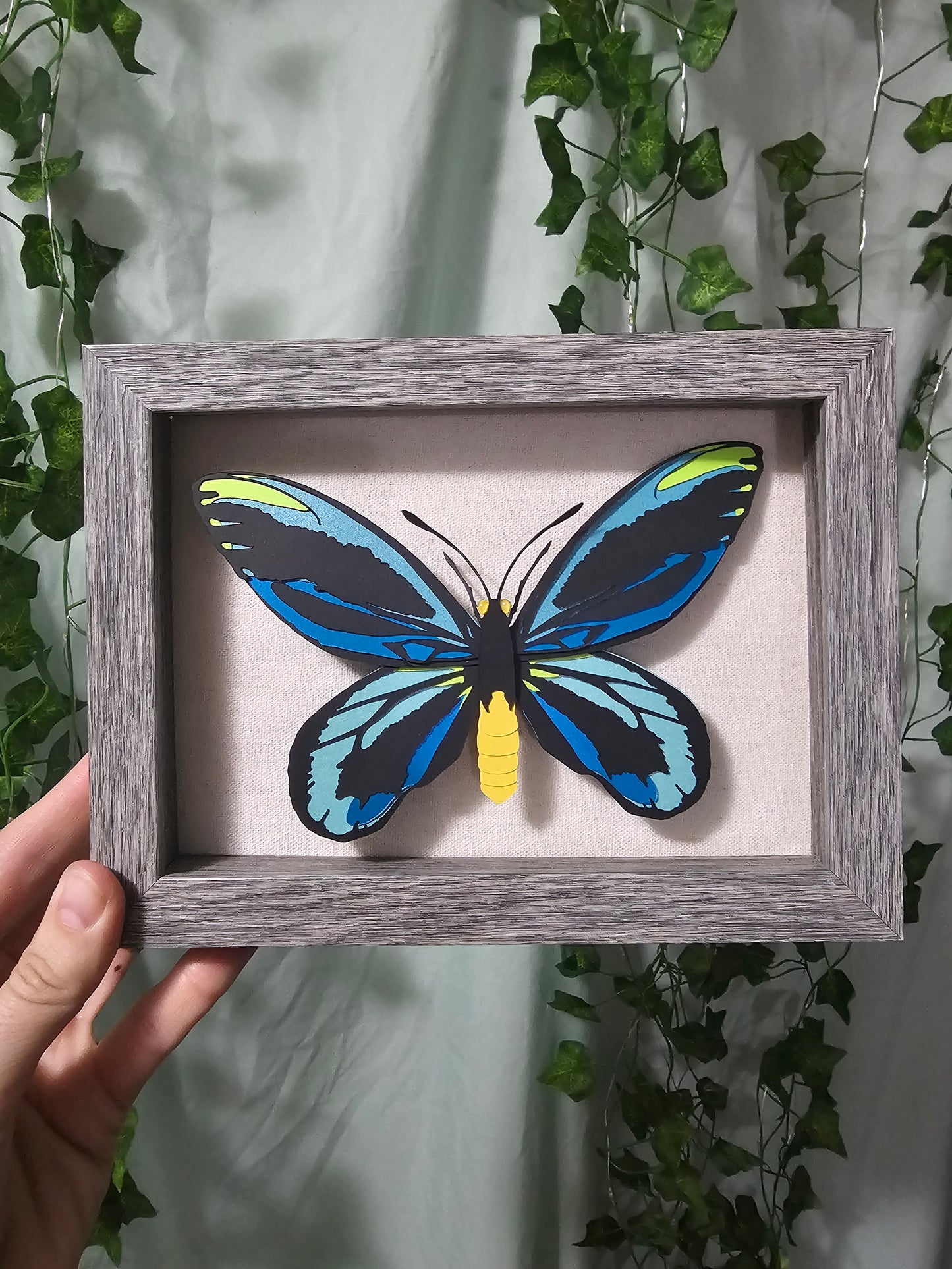 DIY Butterfly - Alexandria Birdwing - DIY Your Own Paper Specimen