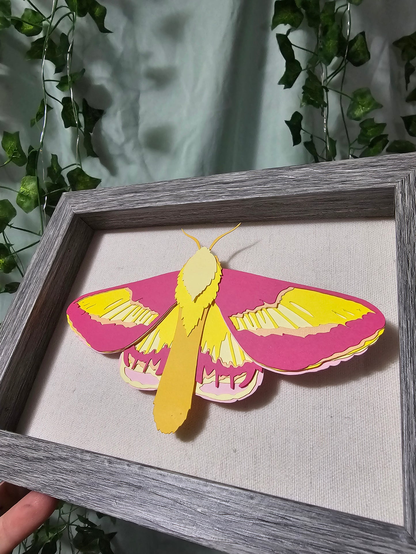 DIY Butterly - Rosy Maple Moth - DIY Your Own Paper Specimen