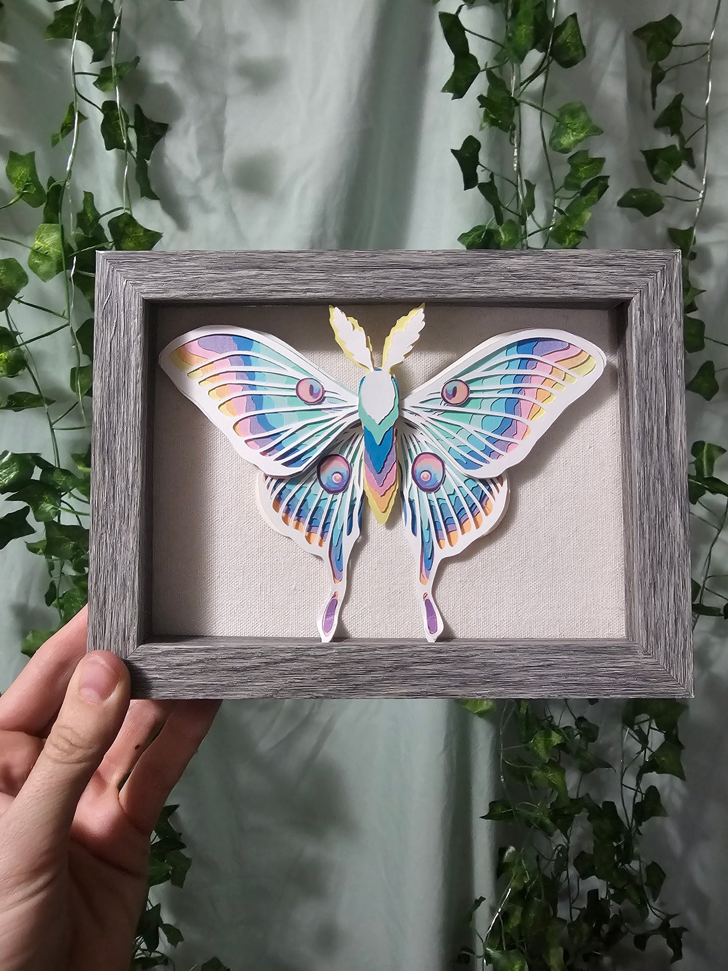 DIY Butterfly - Rainbow Moth - DIY Your Own Paper Specimen