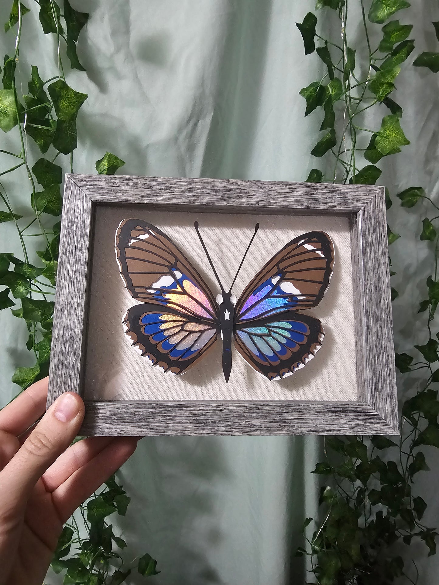 DIY Butterfly - Iridescent Longwing - DIY Your Own Paper Specimen