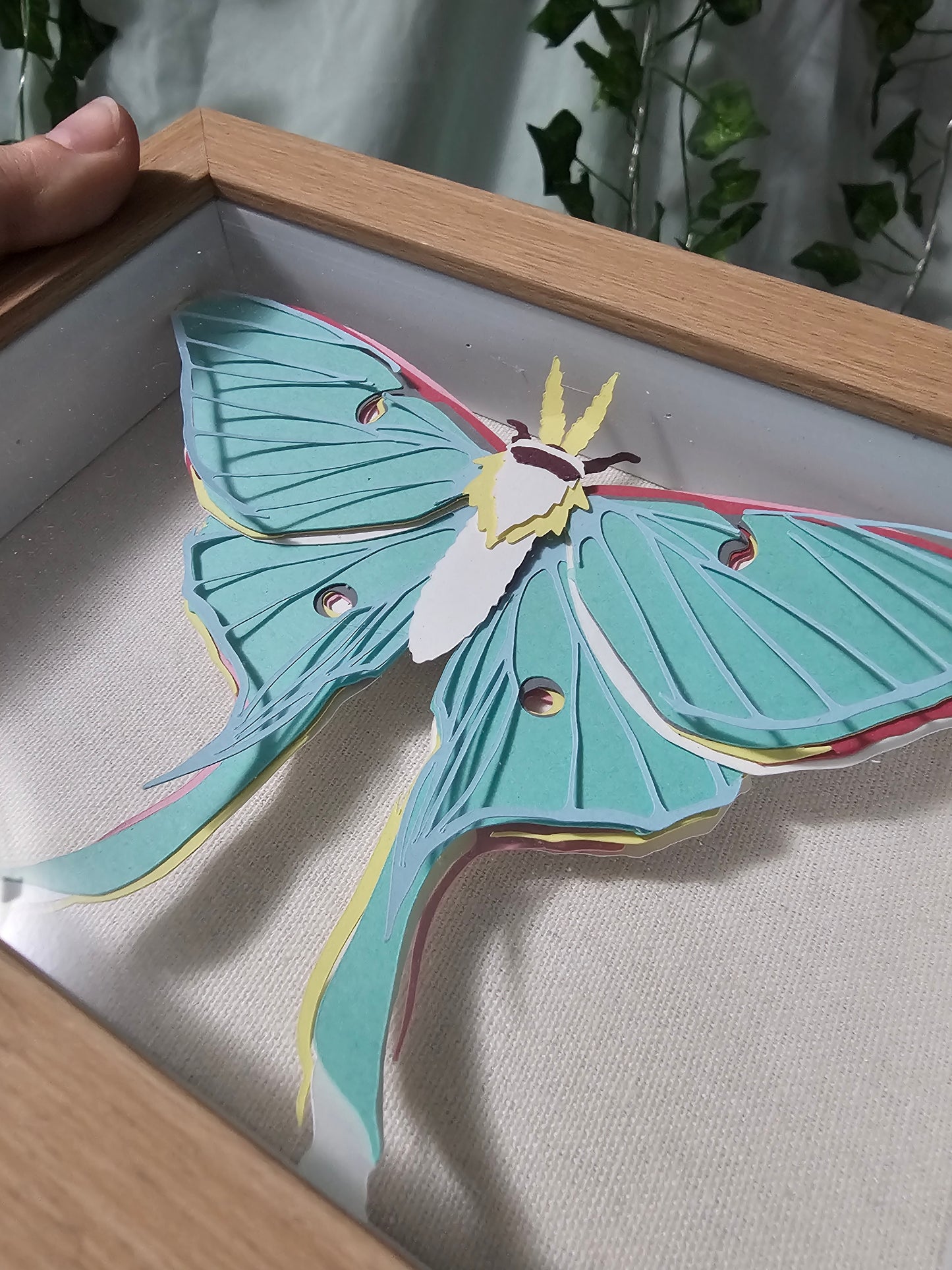 DIY Butterly - Luna Moth - DIY Your Own Paper Specimen