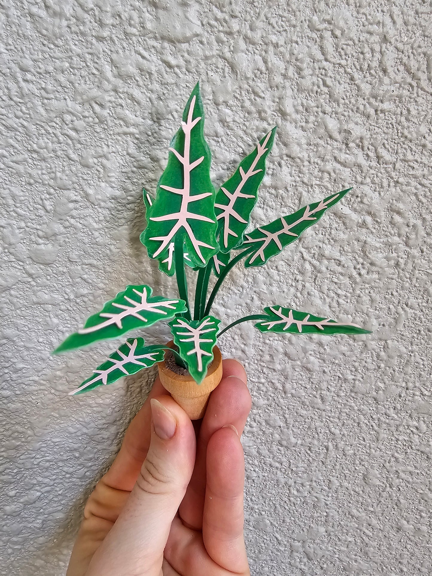DIY Potted Alocasia