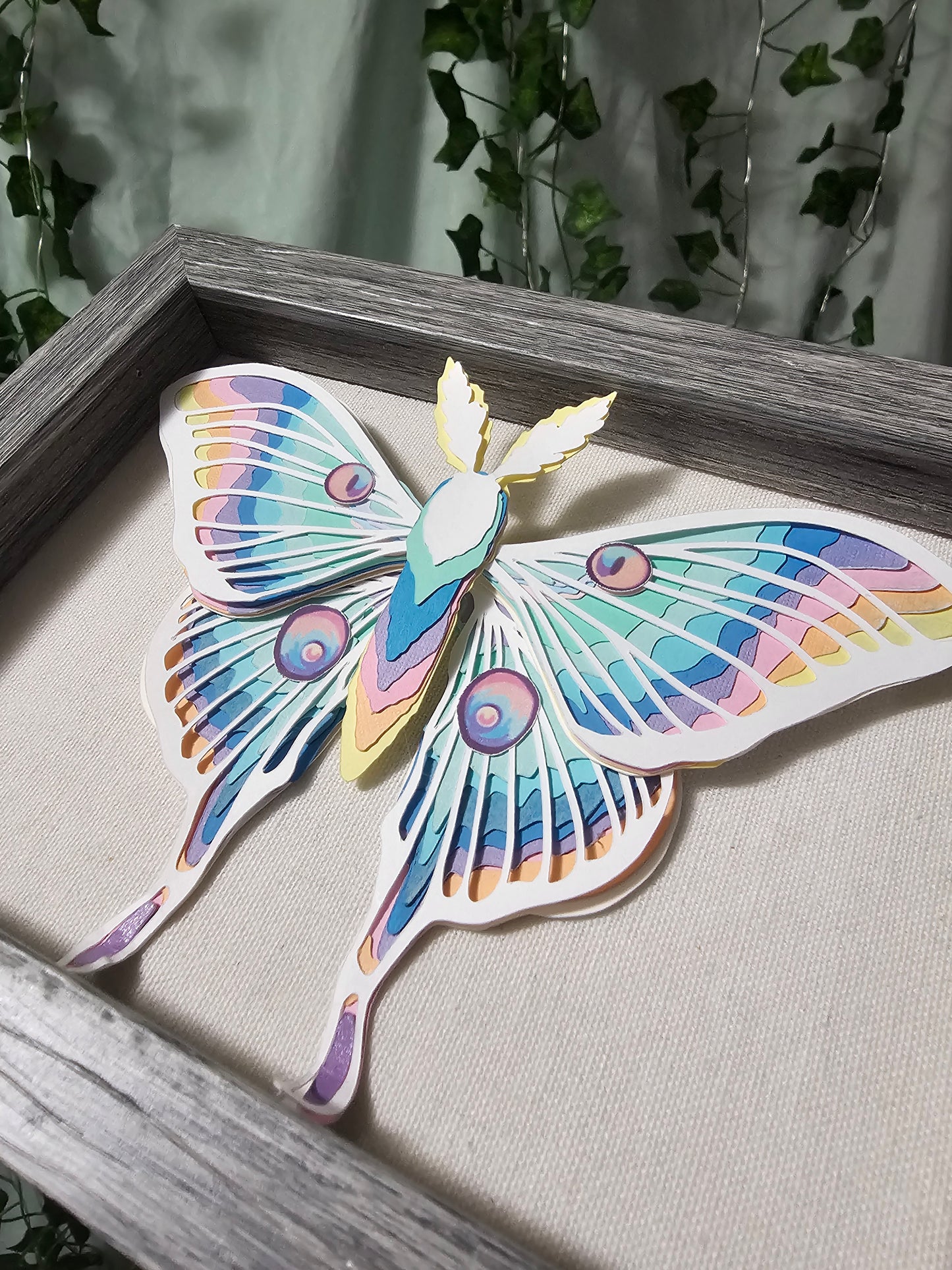 DIY Butterfly - Rainbow Moth - DIY Your Own Paper Specimen