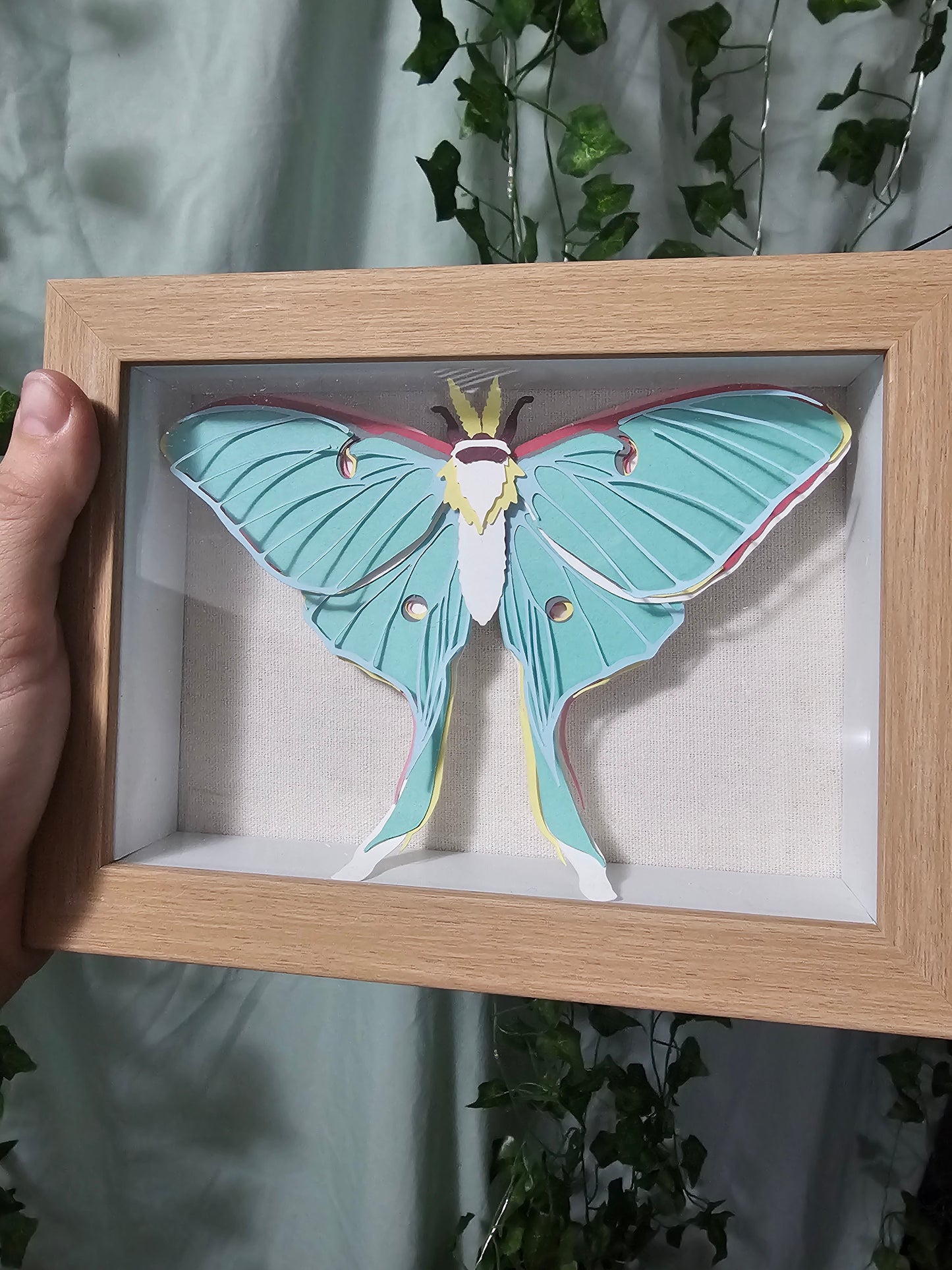 DIY Butterly - Luna Moth - DIY Your Own Paper Specimen