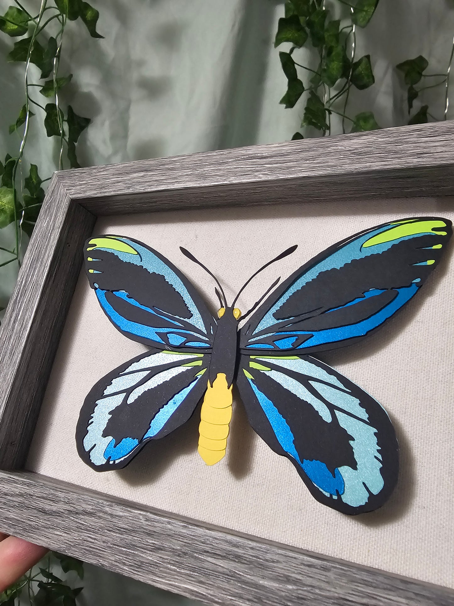 DIY Butterfly - Alexandria Birdwing - DIY Your Own Paper Specimen