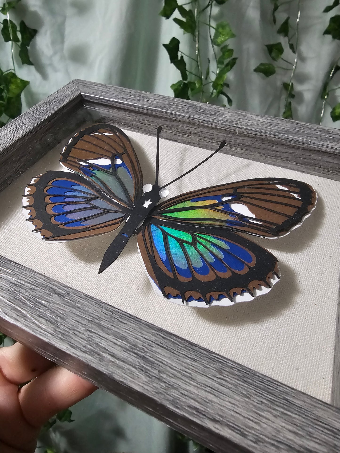 DIY Butterfly - Iridescent Longwing - DIY Your Own Paper Specimen