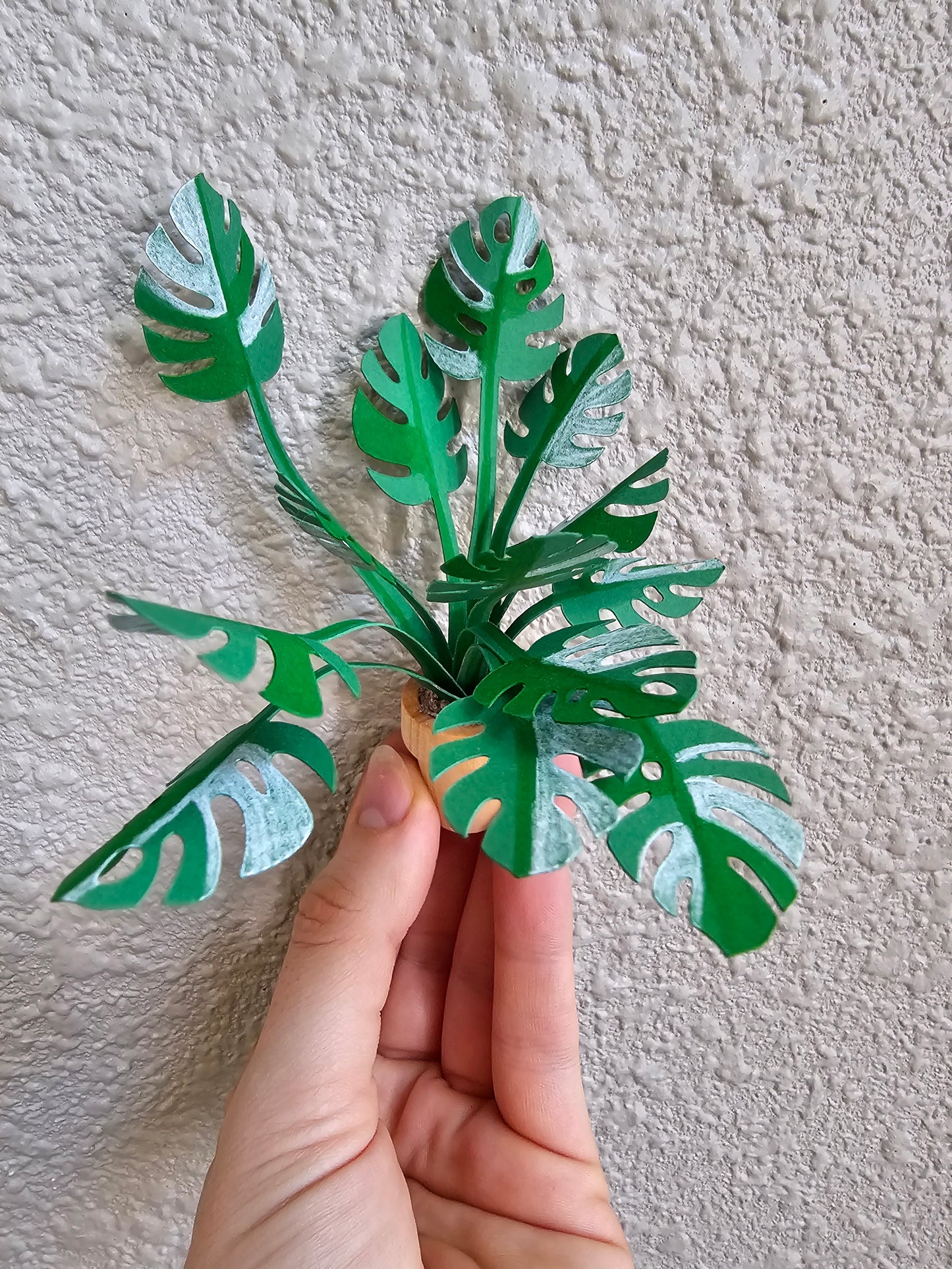 DIY Potted Monstera