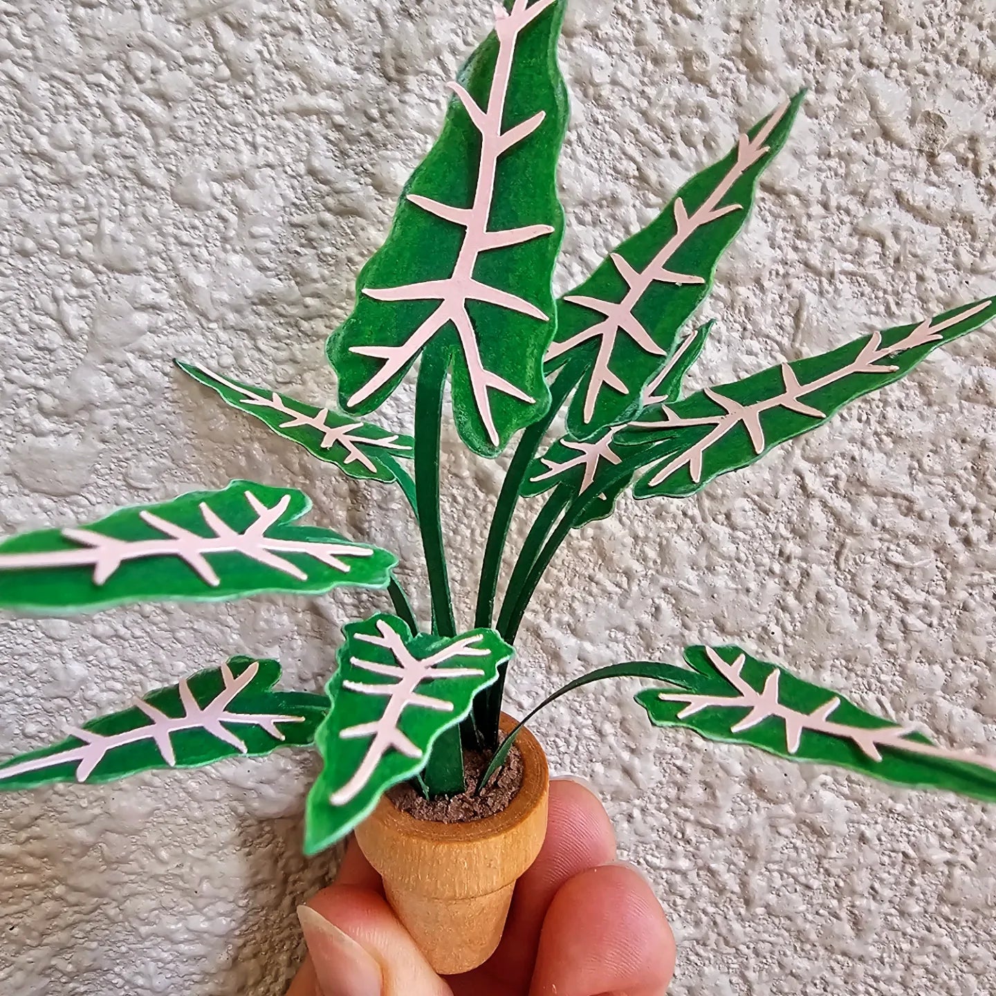 DIY Potted Alocasia