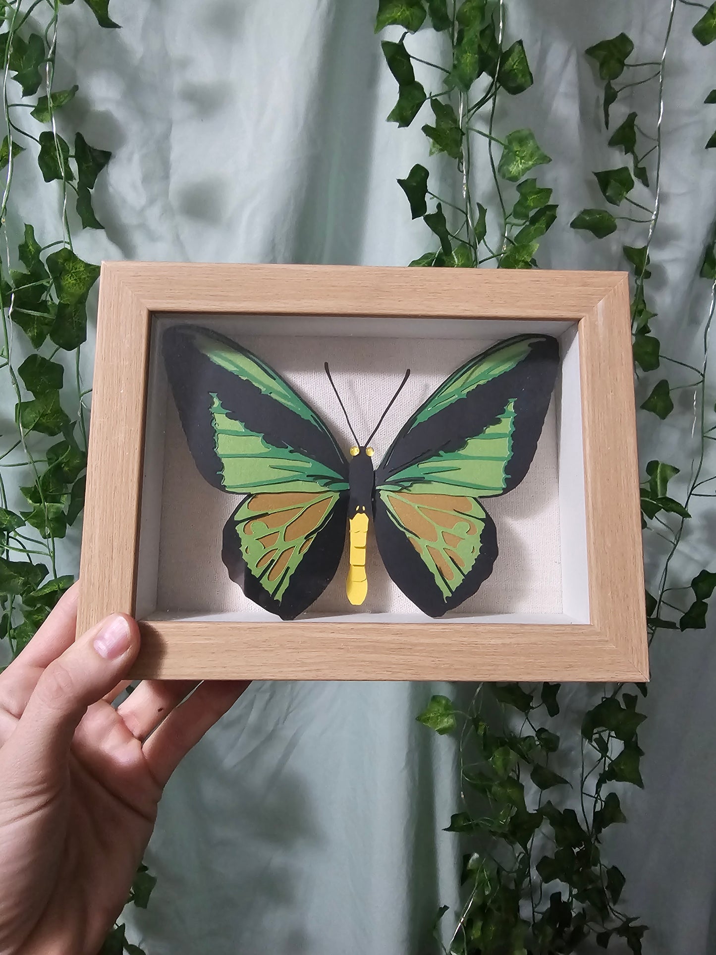 DIY Butterfly - Goliath Birdwing - DIY Your Own Paper Specimen