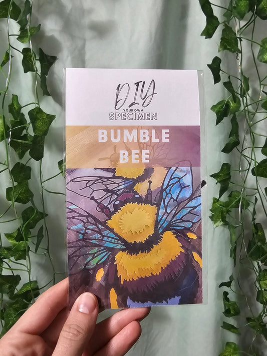DIY Bug - Bumble Bee - DIY Your Own Paper Specimen