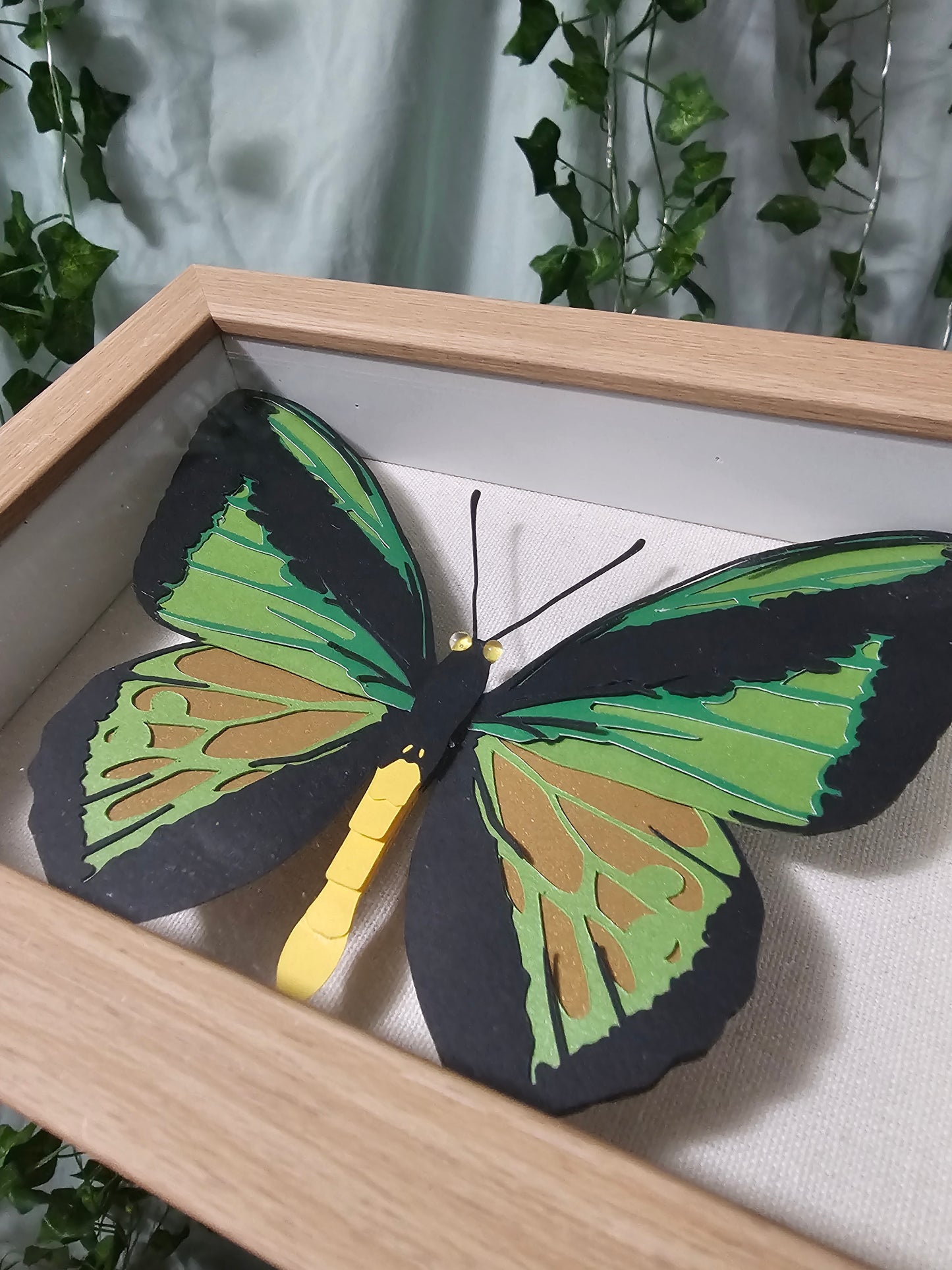 DIY Butterfly - Goliath Birdwing - DIY Your Own Paper Specimen