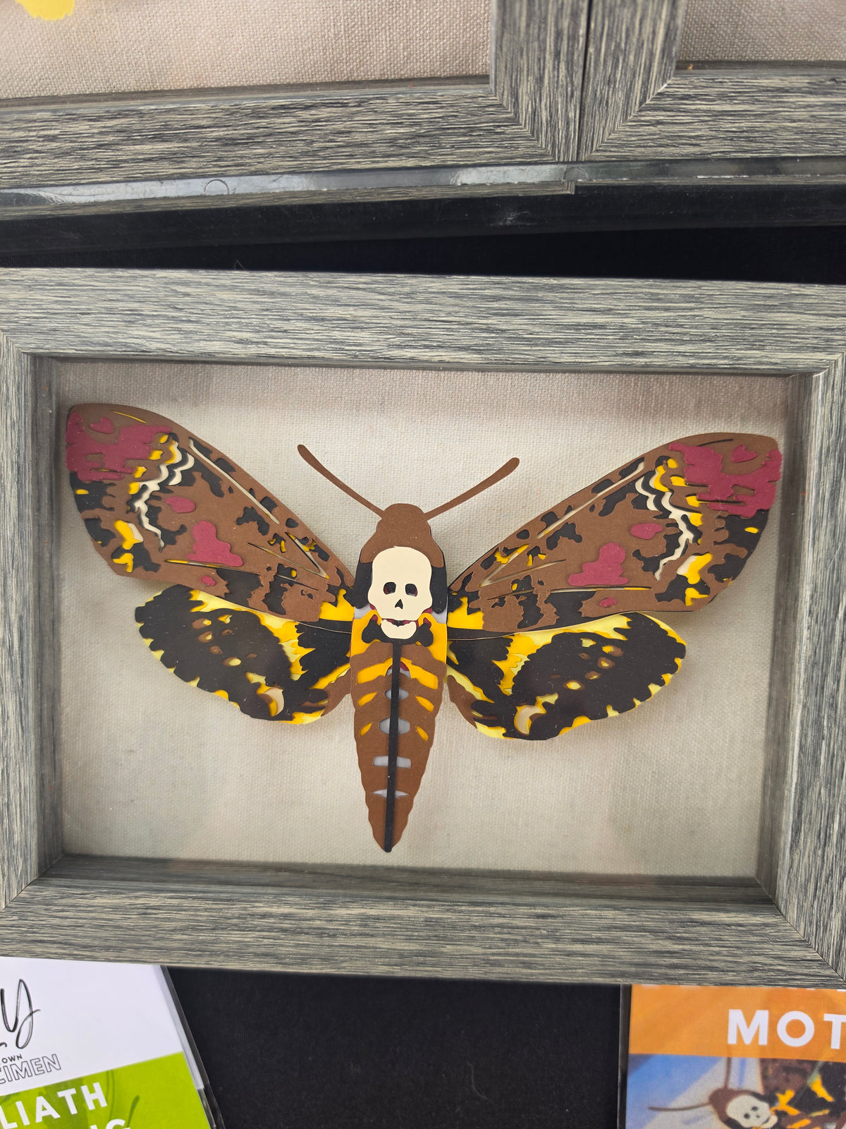 DIY DeathHead Moth - DIY Your Own Paper Specimen
