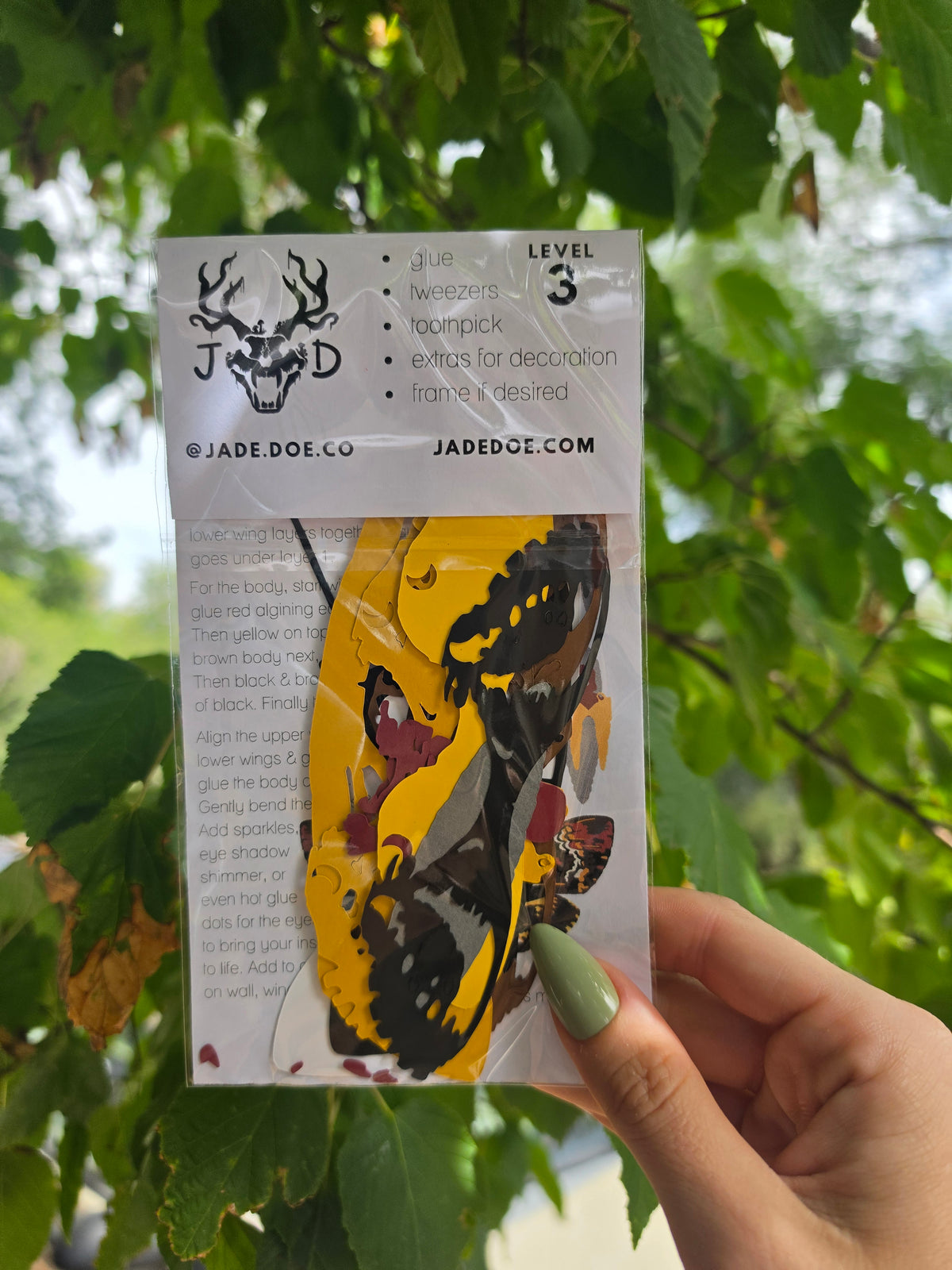 DIY DeathHead Moth - DIY Your Own Paper Specimen